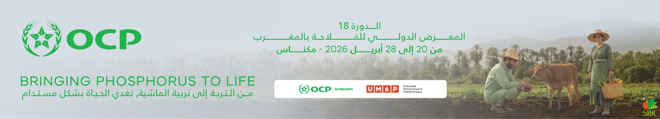 Bannière International Summit