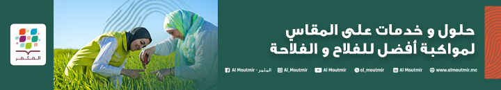 Banniere Al Moutmir